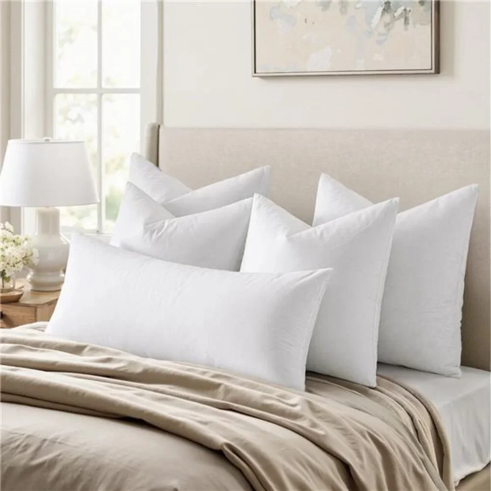 22x22 Pillow Inserts,Set of 2 Down Feather Throw Pillows for Couch Sofa